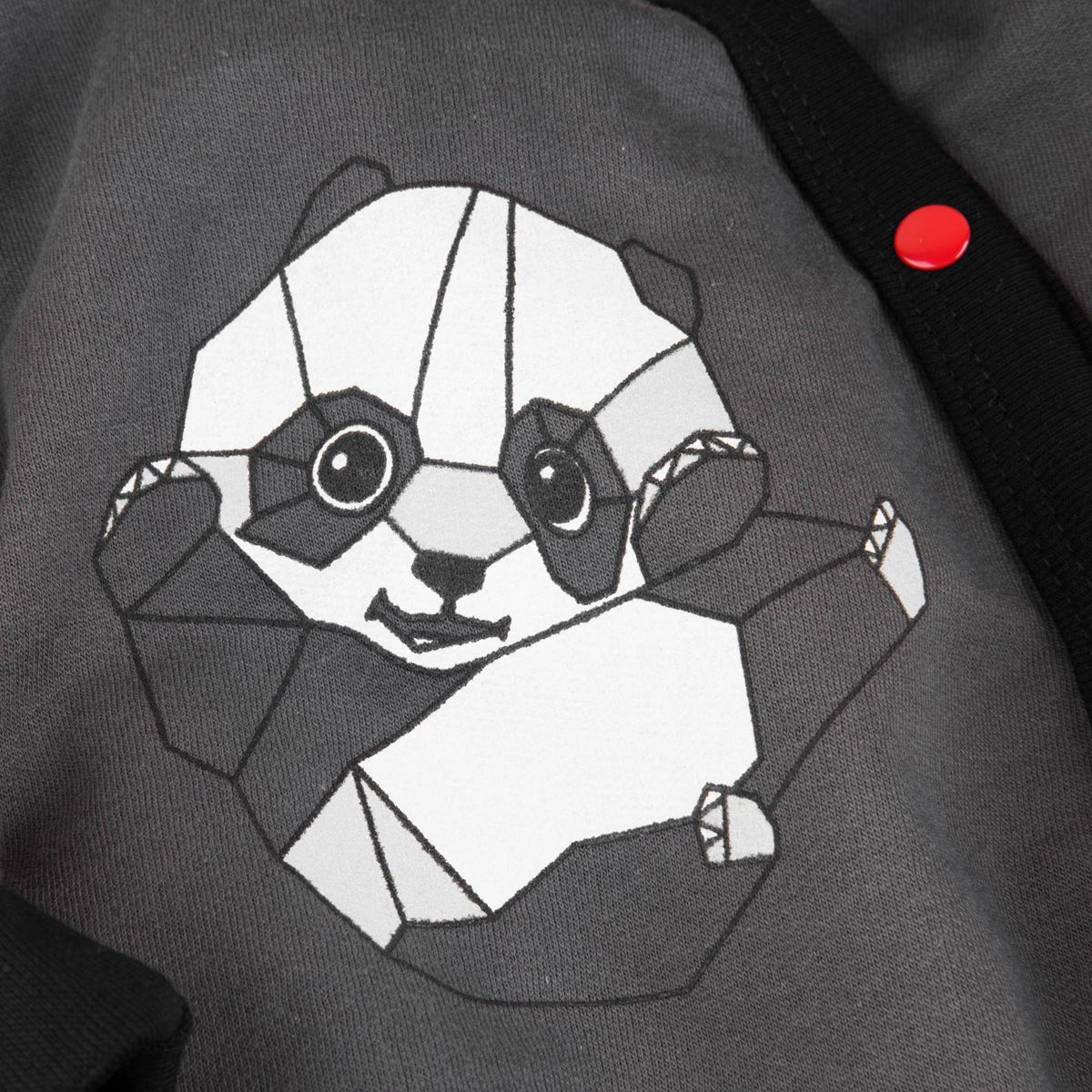    Bossa Nova Panda Baby, : . 509-462.  62